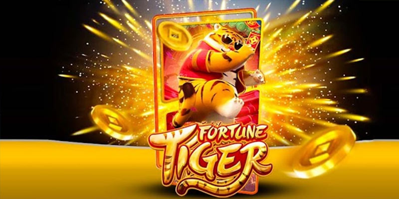 Quem é o Fortune Tiger 667betbet.Com